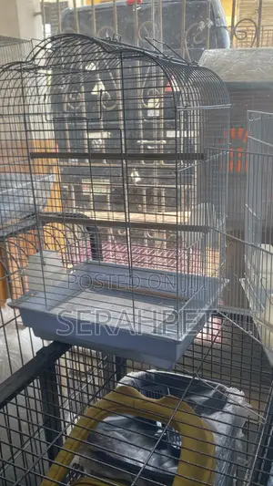 Bird Cage Available