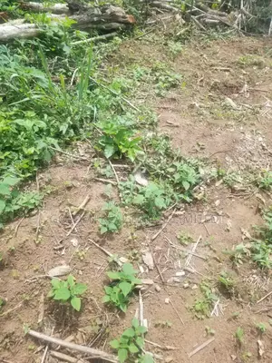 A Plot of Land Beside Anglican High School,At Ado Ekiti for Sale