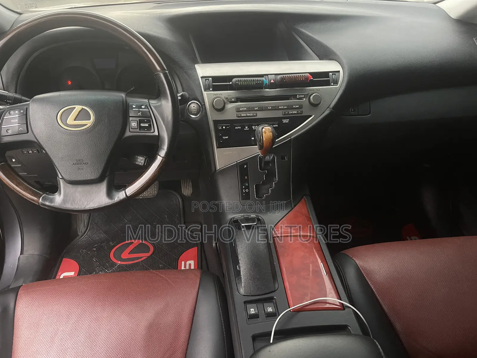 Lexus RX 2010 Gray