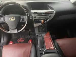 Lexus RX 2010 Gray