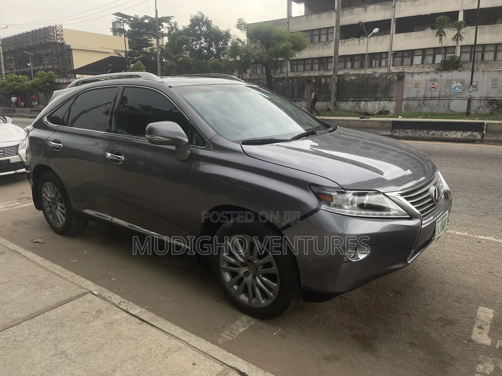 Lexus RX 2010 Gray