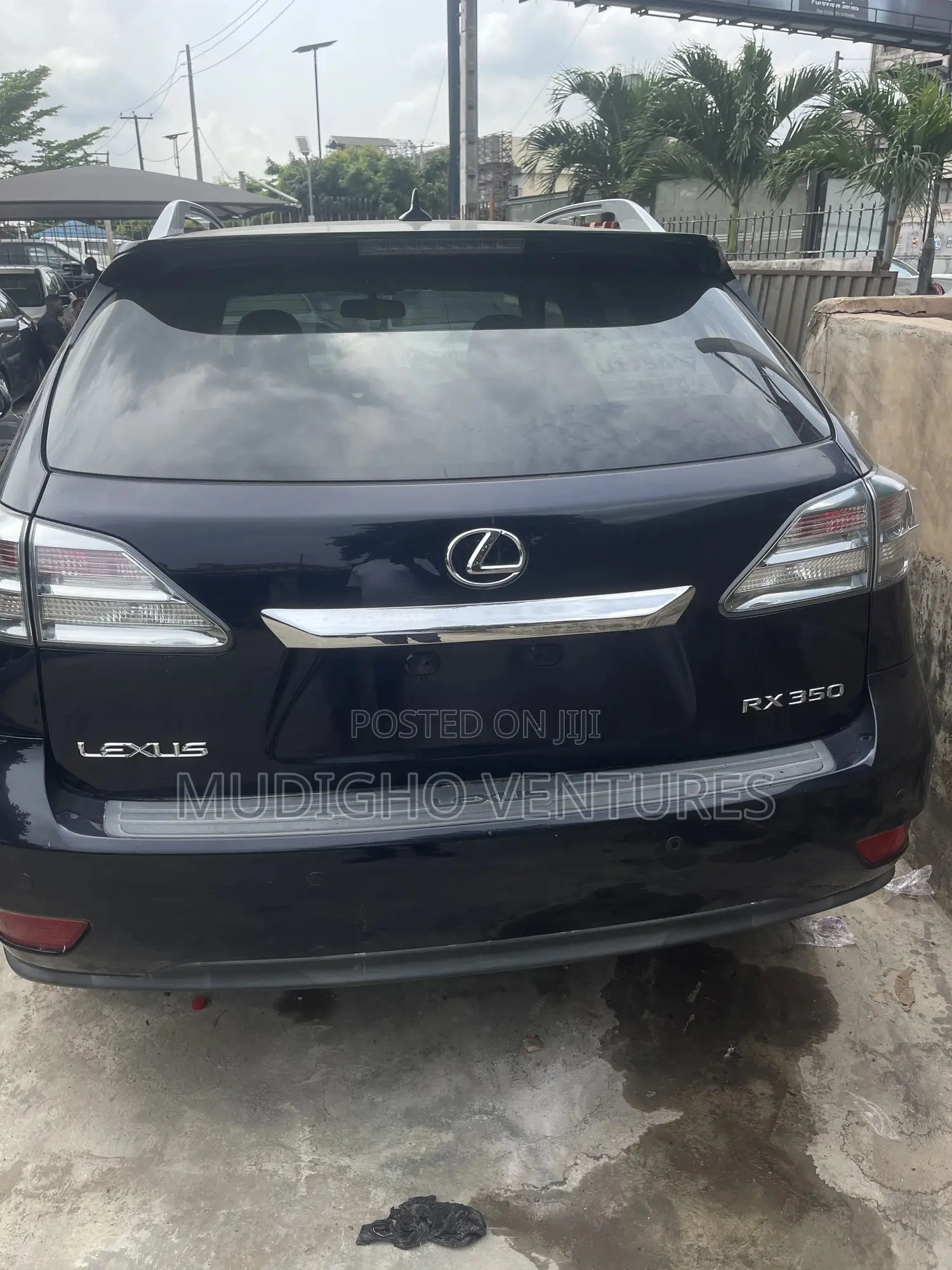 Lexus RX 2010 Gray