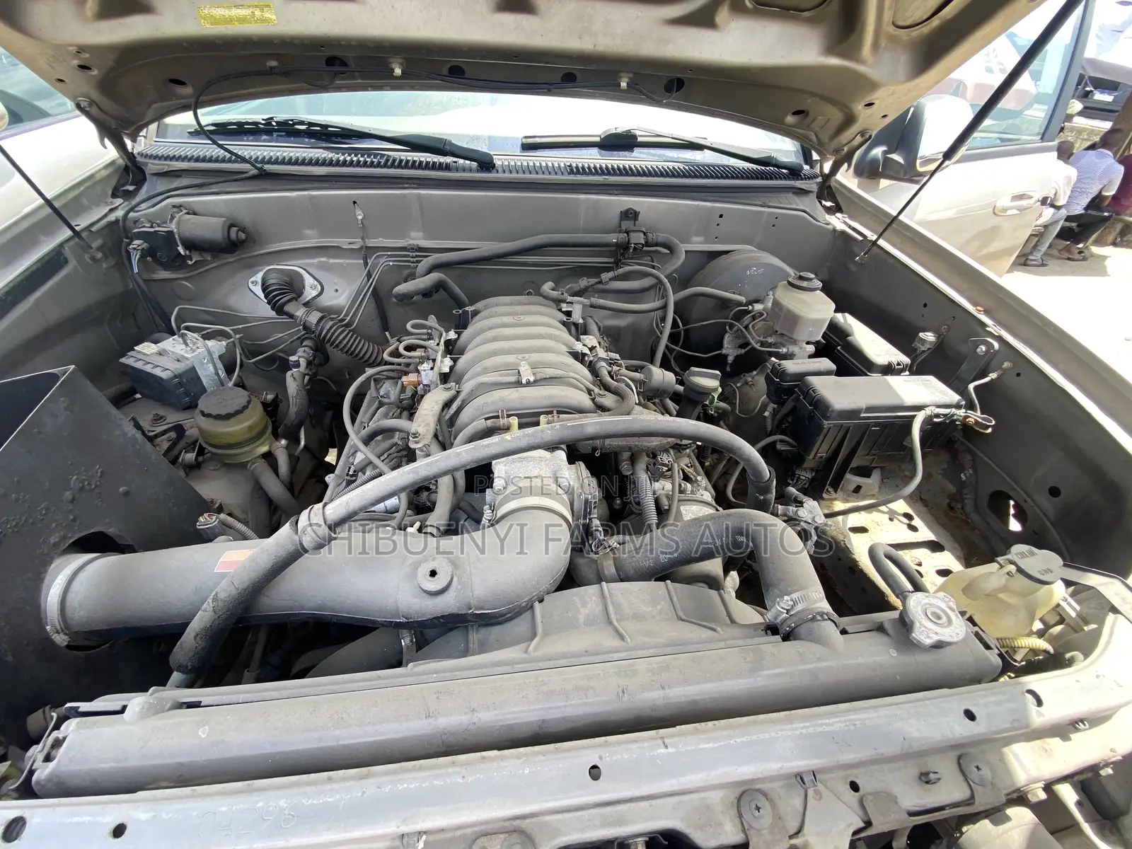 Toyota Tundra SR5 Access Cab 4x4 2004 Gold