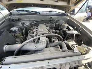 Toyota Tundra SR5 Access Cab 4x4 2004 Gold