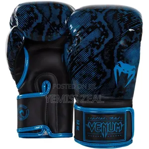 Quality Fancy Boxing Gloves