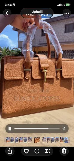 Well Structured Ladies Bag