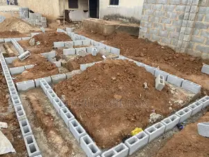 Professional Mason and Builder