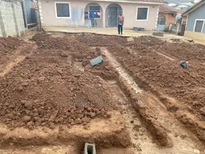 Professional Mason and Builder