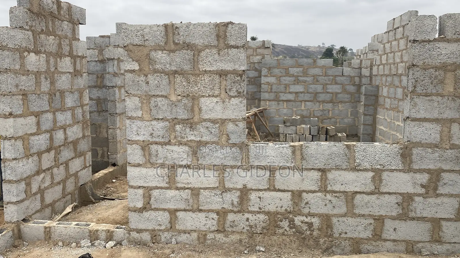 Professional Mason and Builder