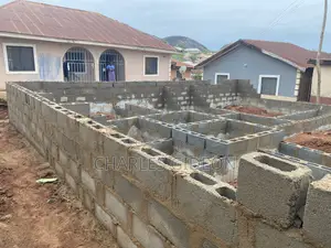 Professional Mason and Builder