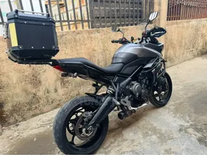 Triumph 2022 Gray