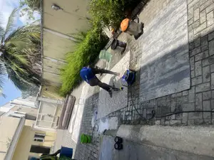 Rug Laundry Service