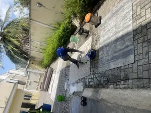 Rug Laundry Service