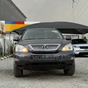 Lexus RX 330 2004 Gray