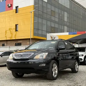 Lexus RX 330 2004 Gray