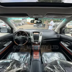 Lexus RX 330 2004 Gray