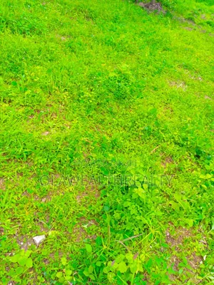 3400sqm Mixed-Use Development Land at Adeola Odeku Street, V.I