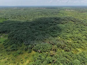 Smart Investors Are Buying in Epe – Don’T Miss This Land Deal