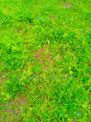 2,400sqm Commercial Land at Asokoro