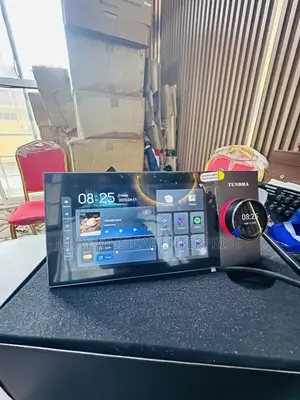 Alexa/Tuya/Zibee Smart in Wall Amplifier