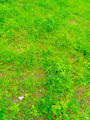 1.77hectare Residential Land at Guzape Main