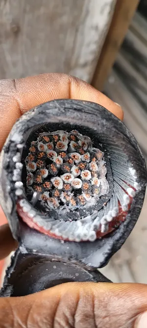 2.5mm 24per (48core ) Armored Cable