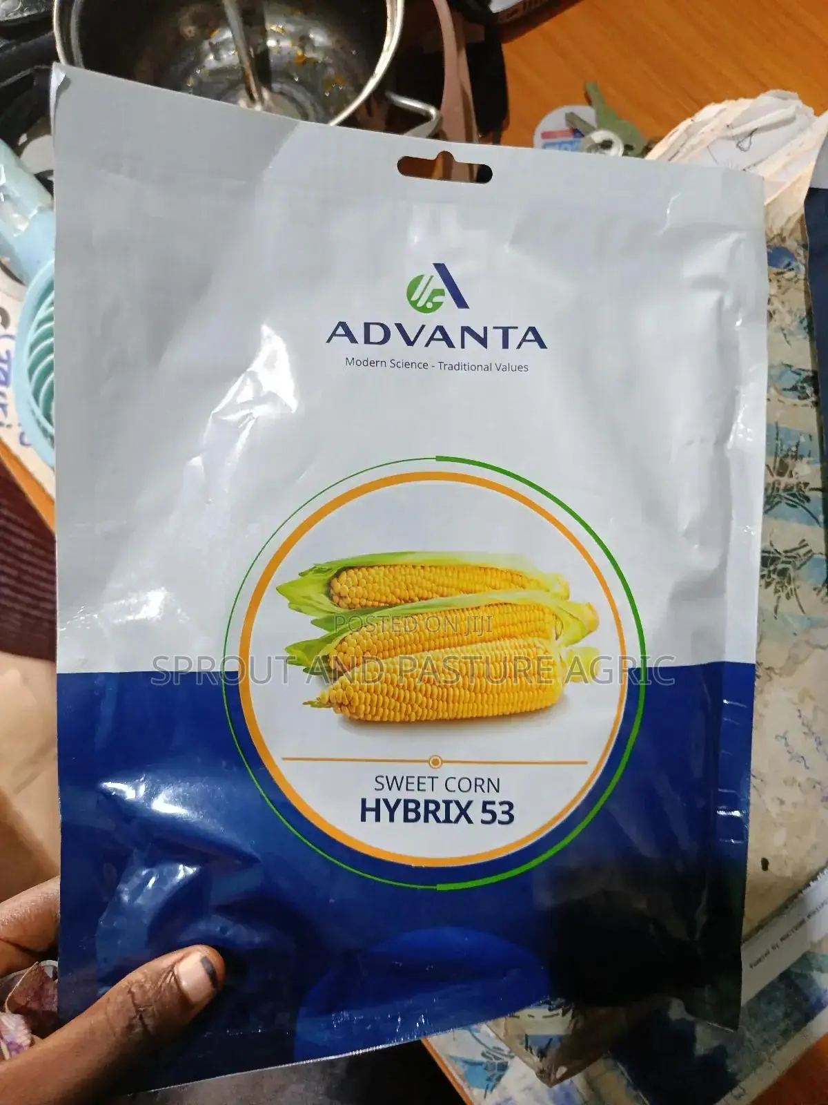 Hybrix Sweet Corn