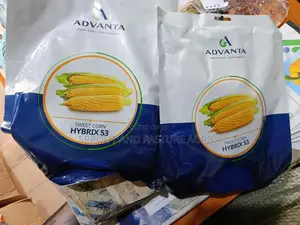 Hybrix Sweet Corn