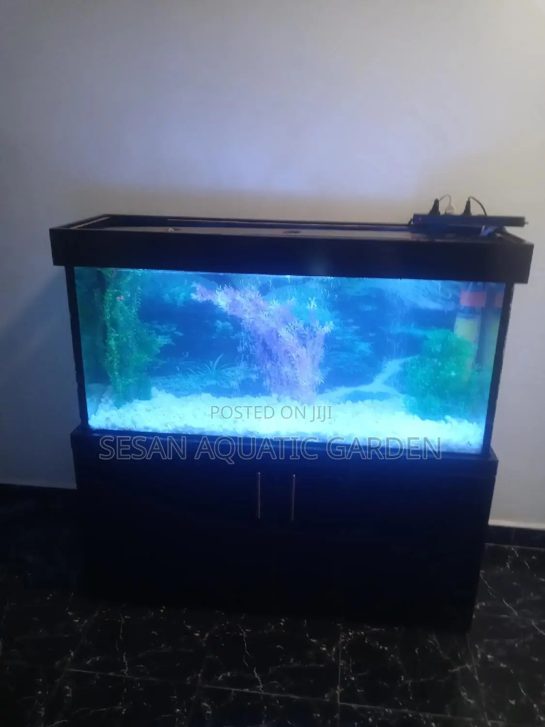 Construction and Maintenance of Aquariums