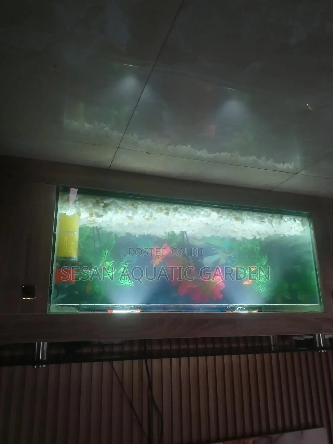 Construction and Maintenance of Aquariums