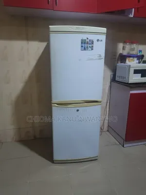 Lg Double Door Fridge