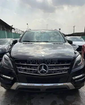 Mercedes-Benz M Class 2015 Black