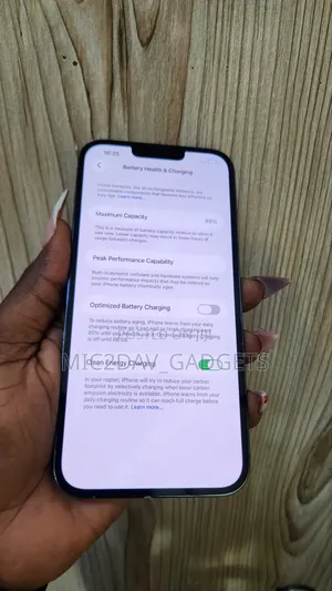 Apple iPhone 13 Pro Max 256 GB Blue
