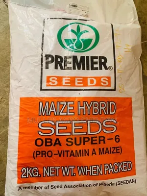 Maize Hybrid Seed