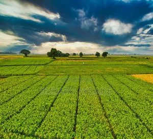 1.5hectares Dobi Farmland