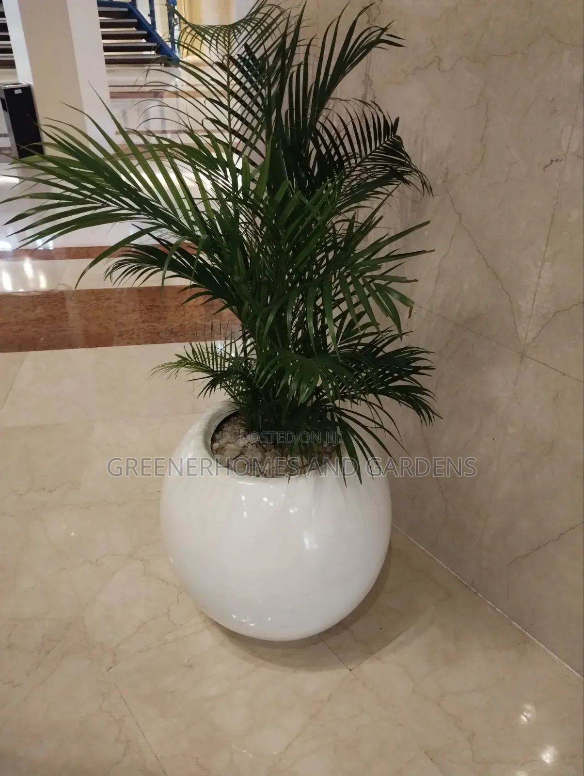 Life Plants