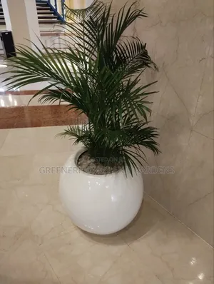 Life Plants