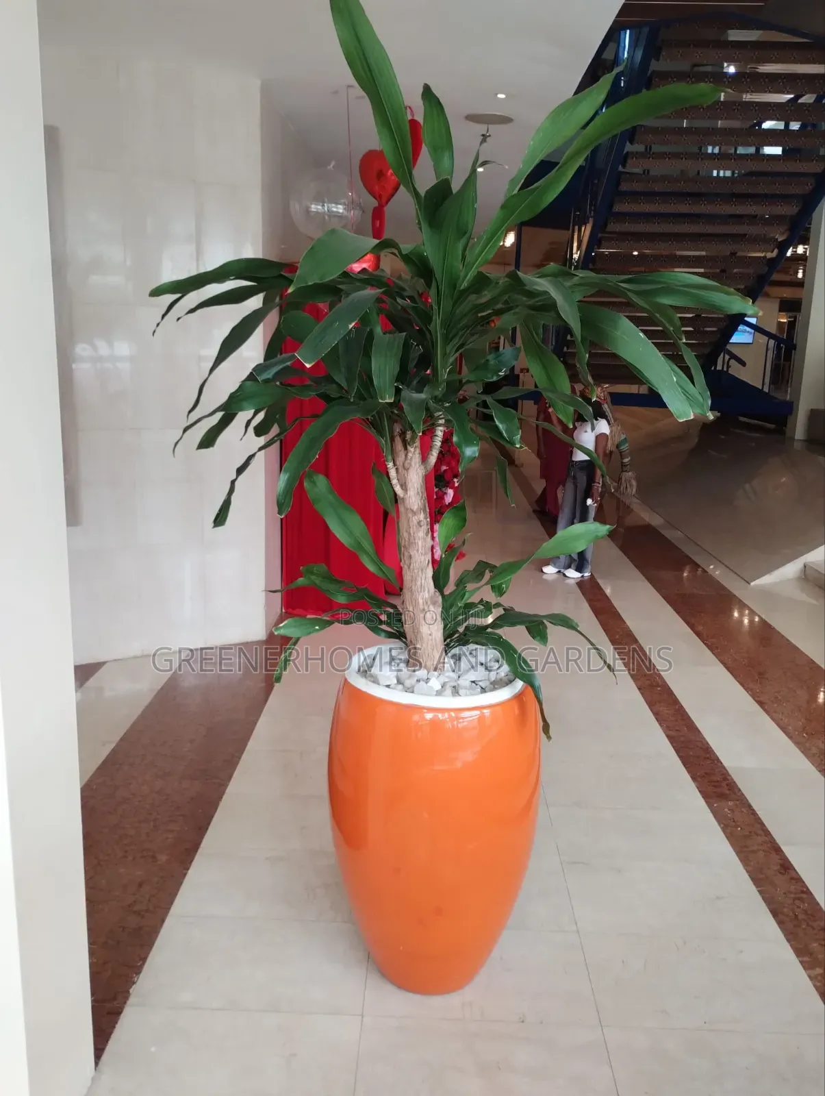 Life Plants
