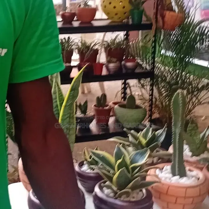 Life Plants