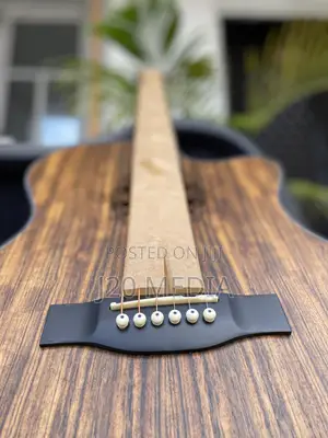 Semi Acoustic Guitar