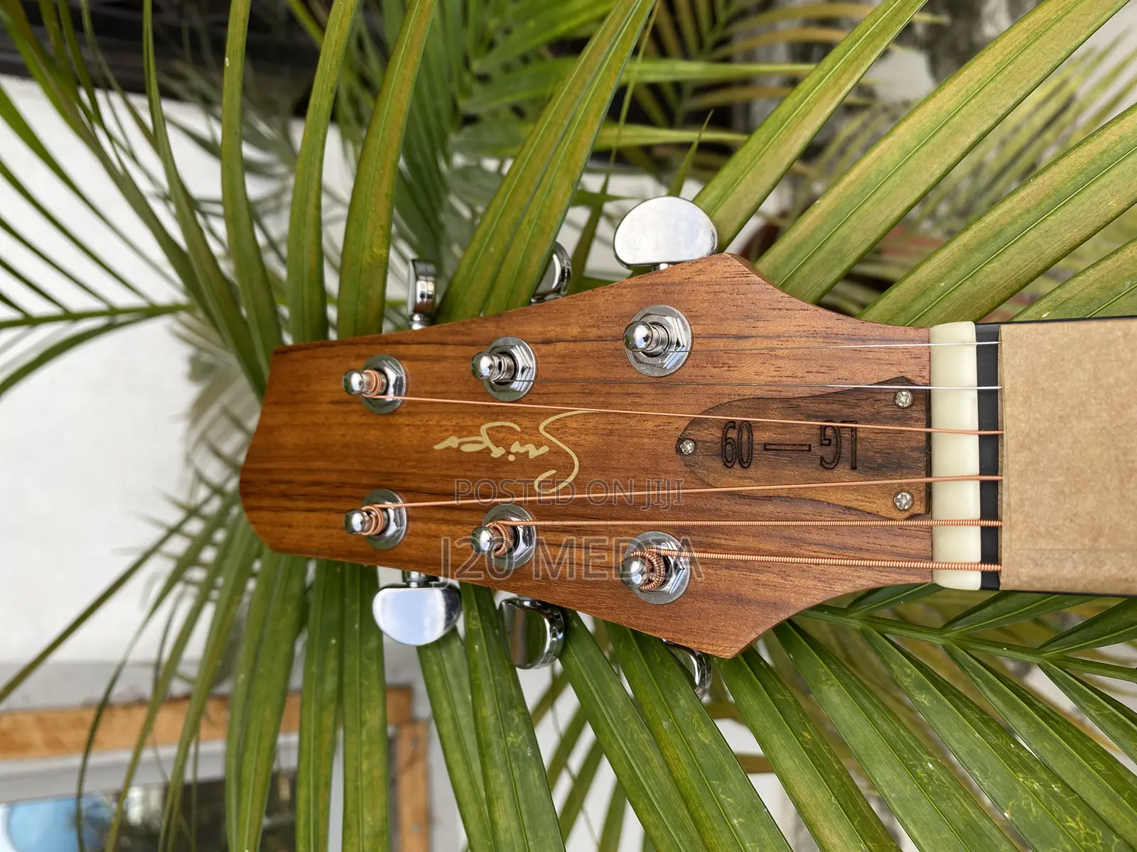 Semi Acoustic Guitar