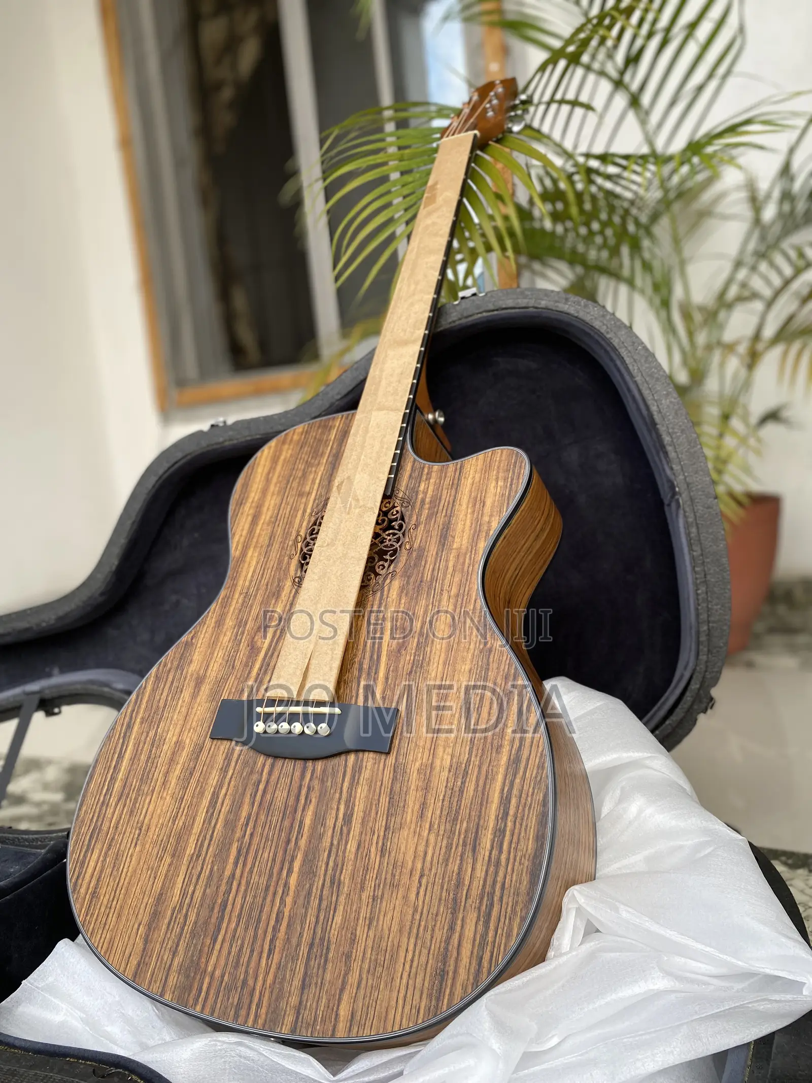 Semi Acoustic Guitar