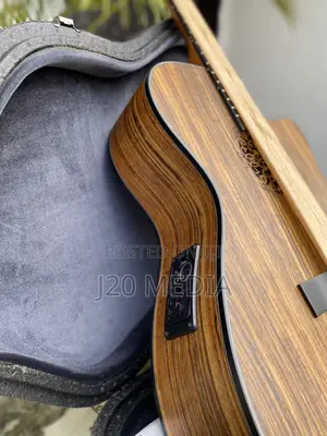 Semi Acoustic Guitar