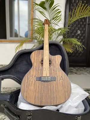 Semi Acoustic Guitar