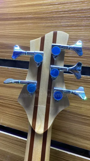 Stringberg Horizon Five String Bass Electric Guitar