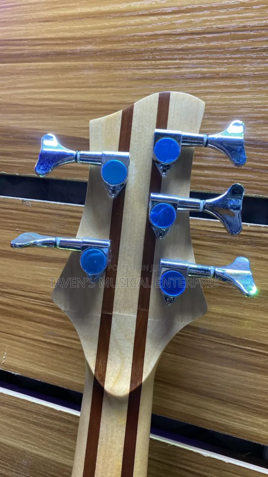 Stringberg Horizon Five String Bass Electric Guitar