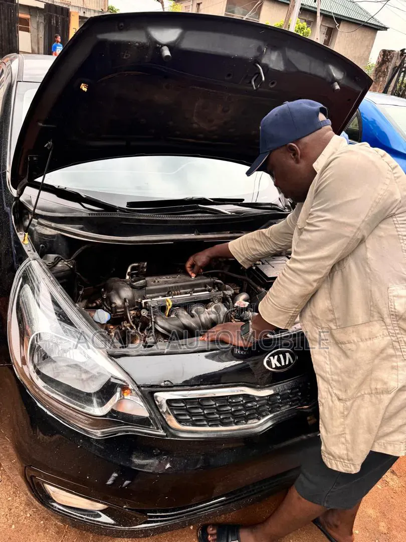Kia and Hyundai Specialist