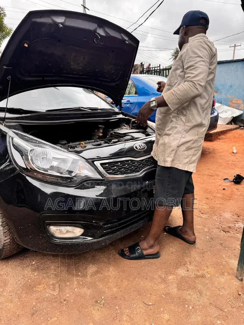 Kia and Hyundai Specialist