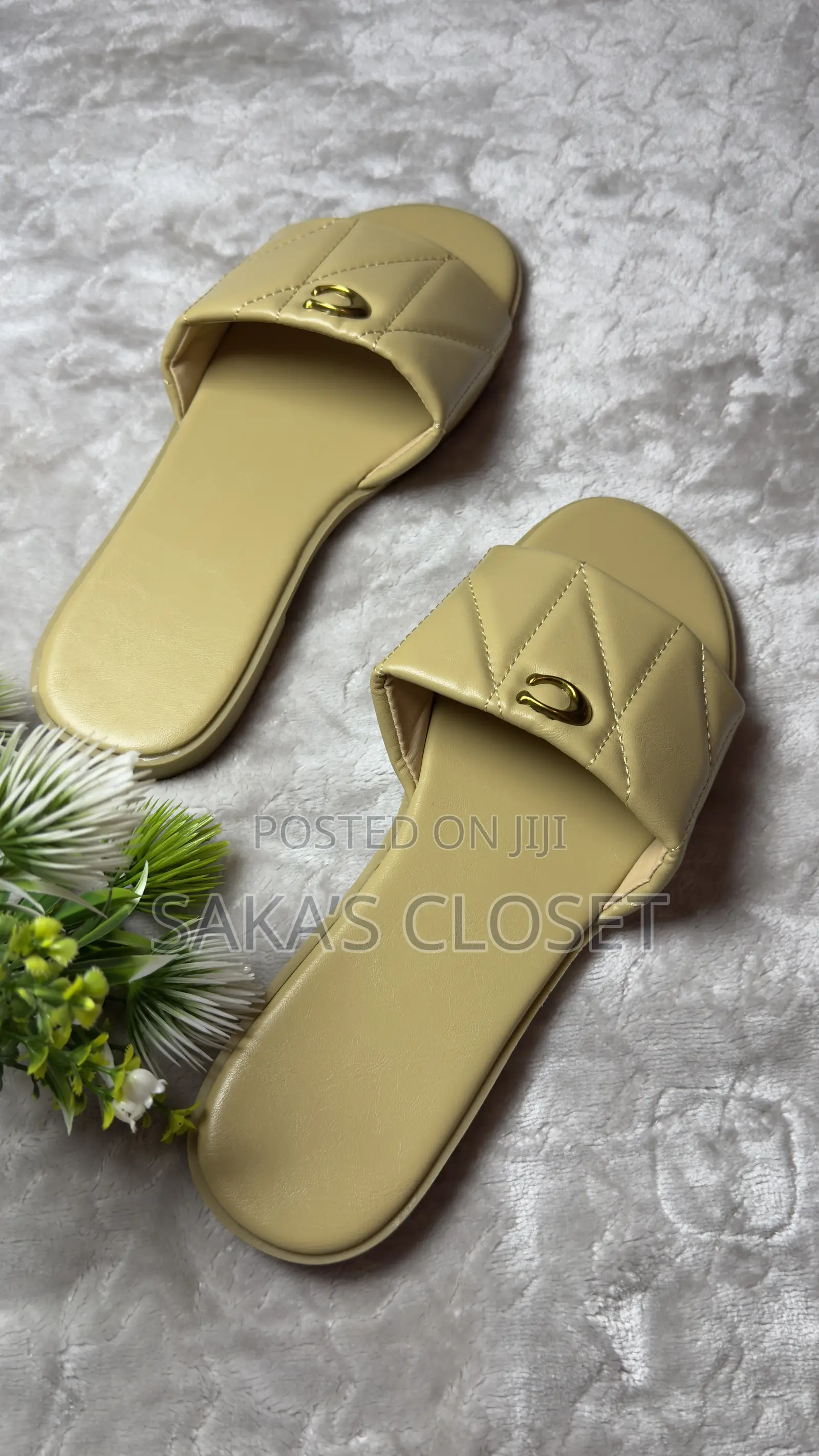 Coach Slippers
