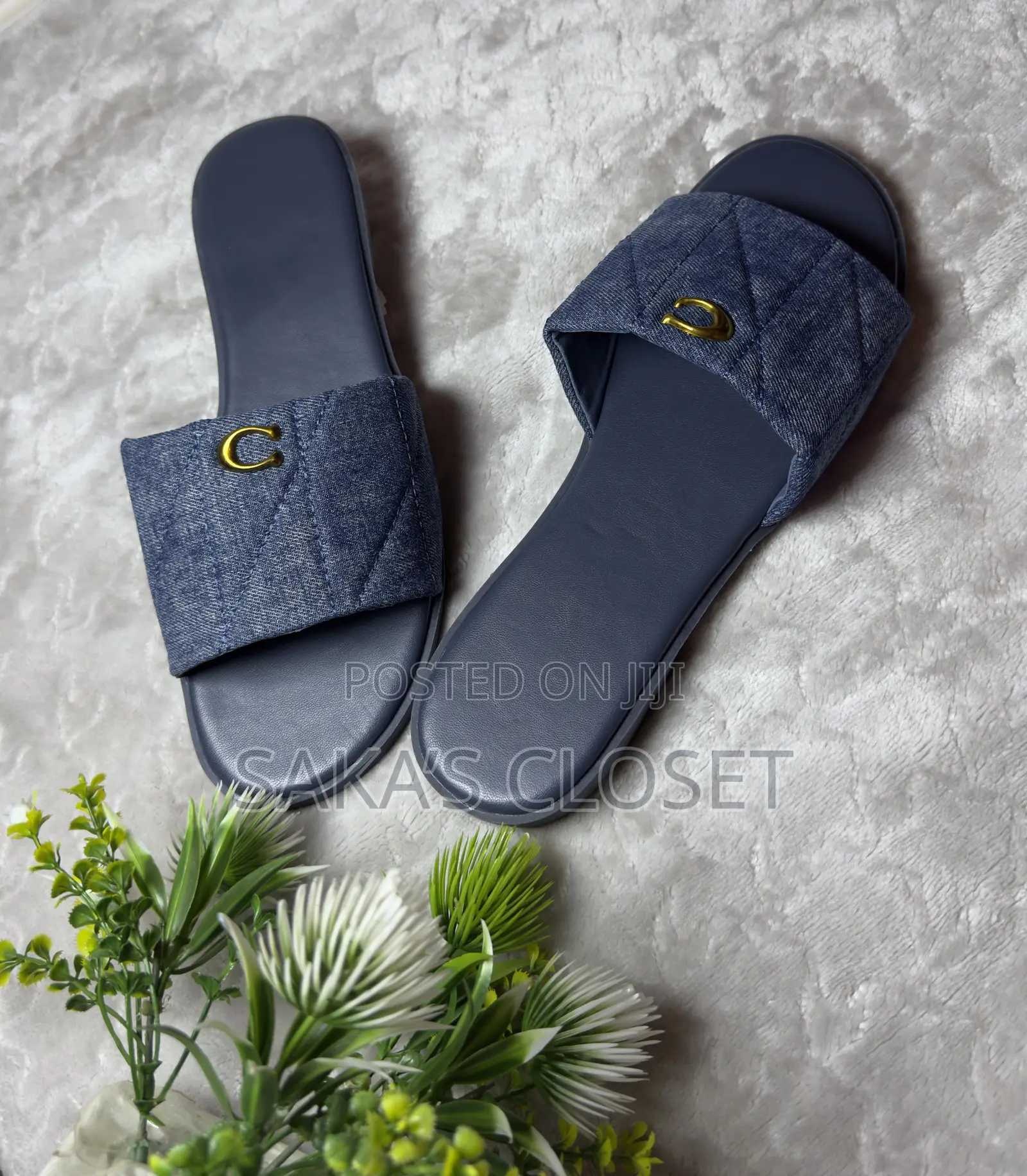 Coach Slippers
